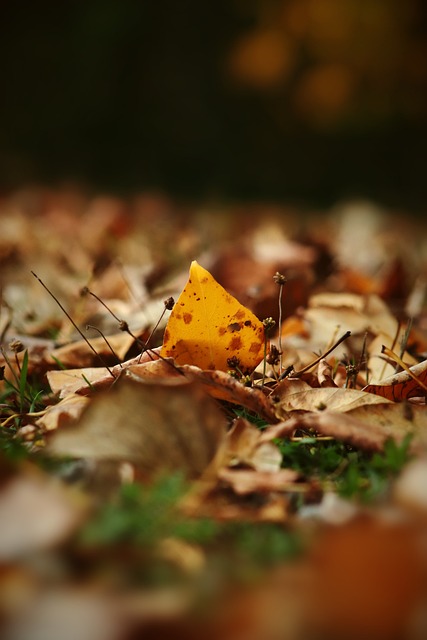 早在门票发 早在门票发