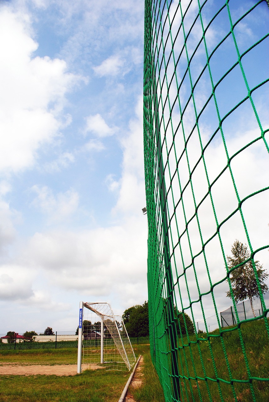 际企业试图 际企业试图