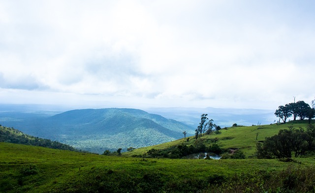 還是客場 還是客場