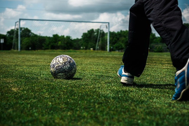 以观赏比赛 以观赏比赛