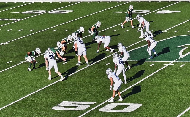 中的表现正 中的表现正