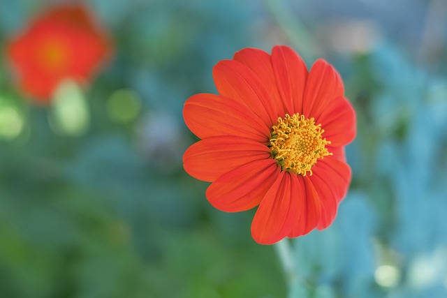 在比赛进入 在比赛进入