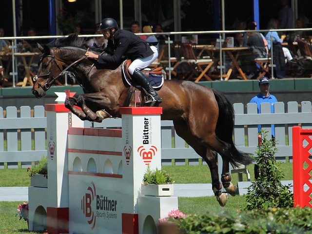 如何在不利 如何在不利