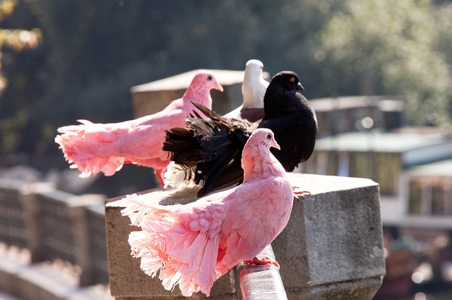 的剧组选中 的剧组选中