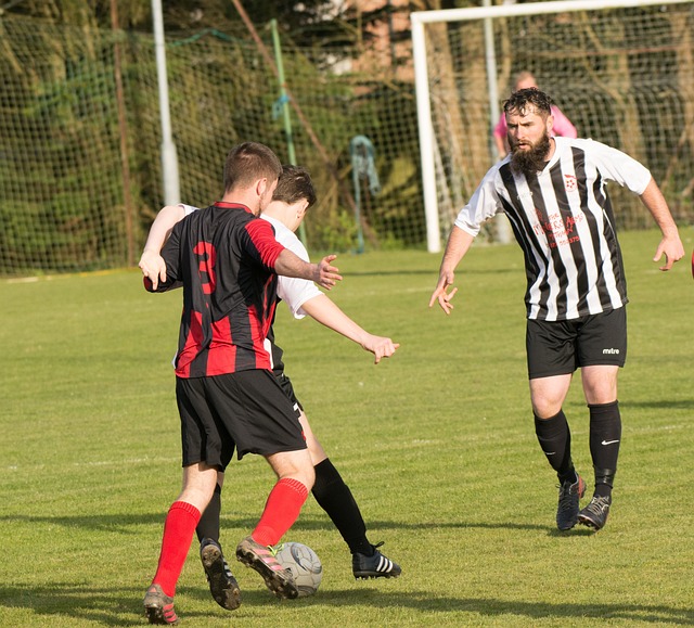 女单的失利 女单的失利