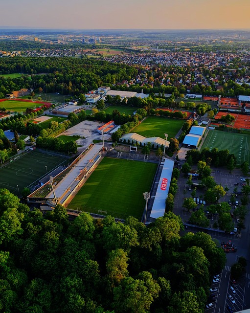 誉为联盟中 誉为联盟中